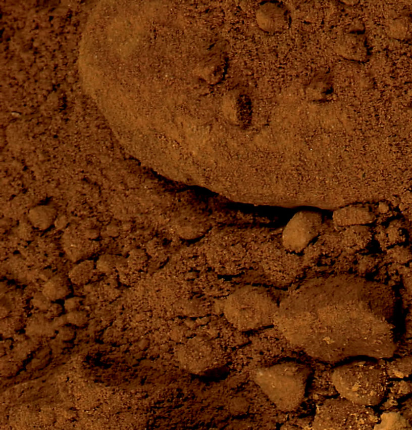 Mousse de chocolate servida en una copa elegante, coronada con una frambuesa fresca en el centro, esferas doradas y virutas de cacao puro. El fondo oscuro resalta los tonos intensos del postre, mientras que los detalles dorados de la cuchara y las decoraciones crean una atmósfera sofisticada y tentadora. Una composición visualmente atractiva que evoca placer, intensidad y delicadeza.